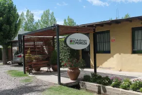 La Divina Pereza - Rezeption
