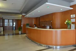 Hotel San Domenico Al Piano - Réception