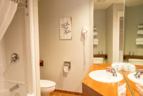 Hôtel Le Voyageur - Bad