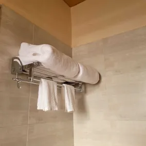The Riverstone Agro Farm - Bathroom