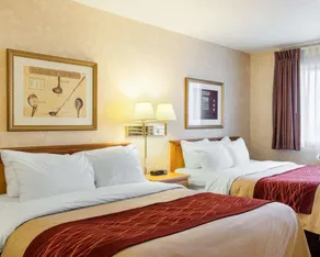 Quality Inn Brandon - Sioux Falls - Værelse