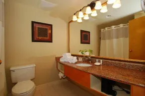 Comfort Inn Shady Grove - Gaithersburg - Rockville - Bathroom