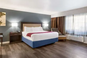 Best Western Mountain View Inn - Chambre