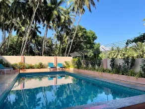 Palm Paradise Resort - Pool