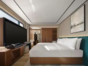 Hilton Garden Inn Hangzhou West Lake - Camera