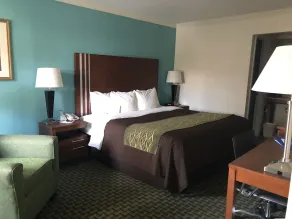 Days Inn by Wyndham Austintown - Vue de la chambre