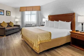 Best Western PLUS Langley Inn - Chambre