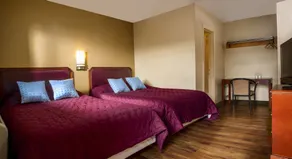 Viking Motel-Detroit - Chambre