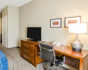 Comfort Inn & Suites Lynchburg Airport - University Area - Chambre