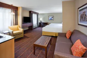 Holiday Inn Express Hotel & Suites Brainerd-Baxter by IHG - Chambre