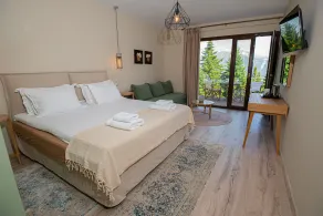 Anavasi Mountain Resort - Room