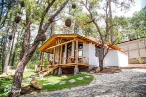 Cabañas La Vid Del Bosque - Vistas desde la habitación