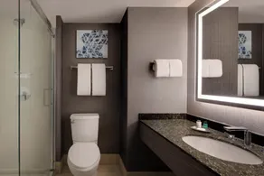 Sheraton Philadelphia Downtown - Salle de bain