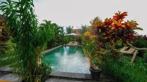 Green Coconut Cottage - Pool