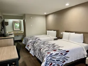 Red Roof Inn Lafayette, LA - Chambre
