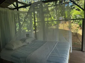 Río Agujitas Rainforest Eco Lodge - Værelse