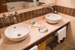 Raheen Woods Hotel - Bathroom
