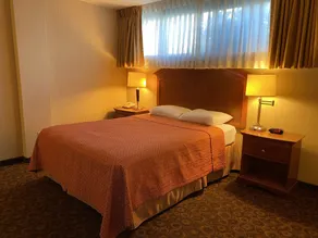 Royal Pacific Motor Inn - Chambre