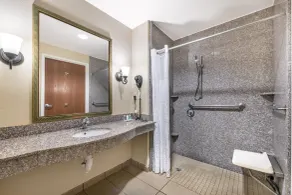 Comfort Suites Ocala North - Salle de bain