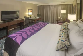 Hilton Peachtree City Atlanta Hotel & Conference Center - Chambre