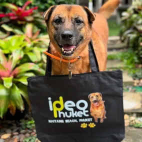 Ideo Phuket Hotel - Naiyang Beach - Réception