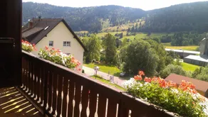 Hotel Großbach - Utsikt fra rommet