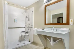 Comfort Suites Greensboro-High Point - Salle de bain