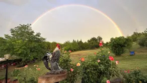 Il Molino del Ponte - Udendørsområde