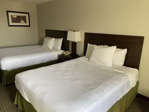 Days Inn by Wyndham Perryville MO - Rom