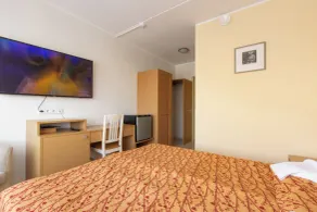 Carolina Hotel - Room