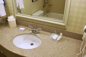 Hilton Garden Inn Sonoma County Airport - Chambre