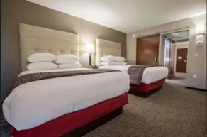 Drury Plaza Hotel St. Paul Downtown - Chambre