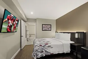 Red Roof Inn Carson - Wilmington  - Chambre