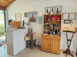 Winery, Restaurant & Pension Vuglec Breg - Reception