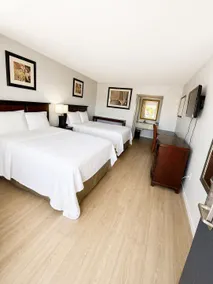 American Inn and Suites - Chambre