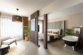 Alp Paşa Boutique Hotel - Chambre