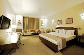 Euro Park Hotel Bursa - Room