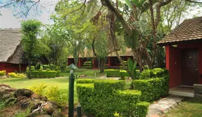 Mara River Lodge - Room