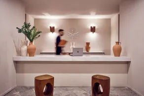 Mykonos Theoxenia, a Member of Design Hotels - Réception