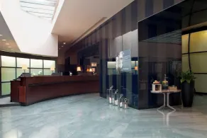 Sheraton Paris Airport Hotel & Conference Centre - Réception