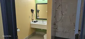 Quality Inn & Suites East Point - Atlanta Area - Badeværelse