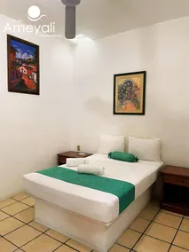 Ameyali Teques - Room