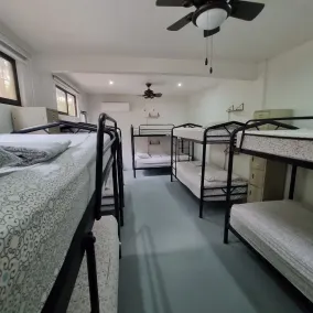 Casa Pura Vida Surf Hostel - Tamarindo Costa Rica - Room