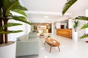 Hotel Don Manolito - Réception