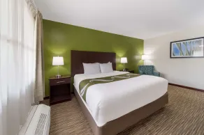 Quality Inn Great Barrington - Chambre