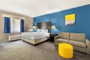 Comfort Inn & Suites Mundelein-Vernon Hills - Habitación