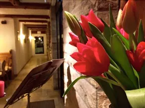 Hotel Kainsbacher Mühle - Reception