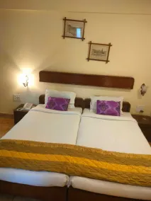 The Dhanhills - a valley view hotel in panchgani - Room