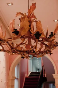 Medusa Hotel Sydney - Reception