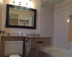 Sword Inn Bancroft - Baño